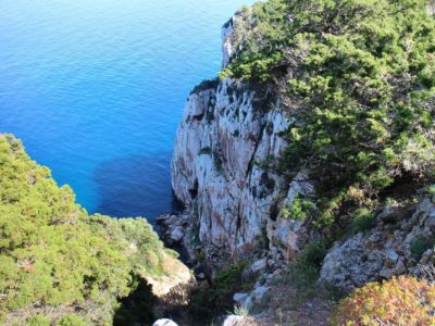 Ingresso Grotte di Nettuno - Alghero