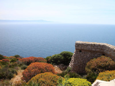 Promontorio di Punta Giglio - Alghero